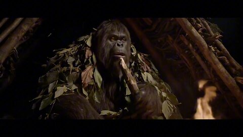 bigfoot vlog