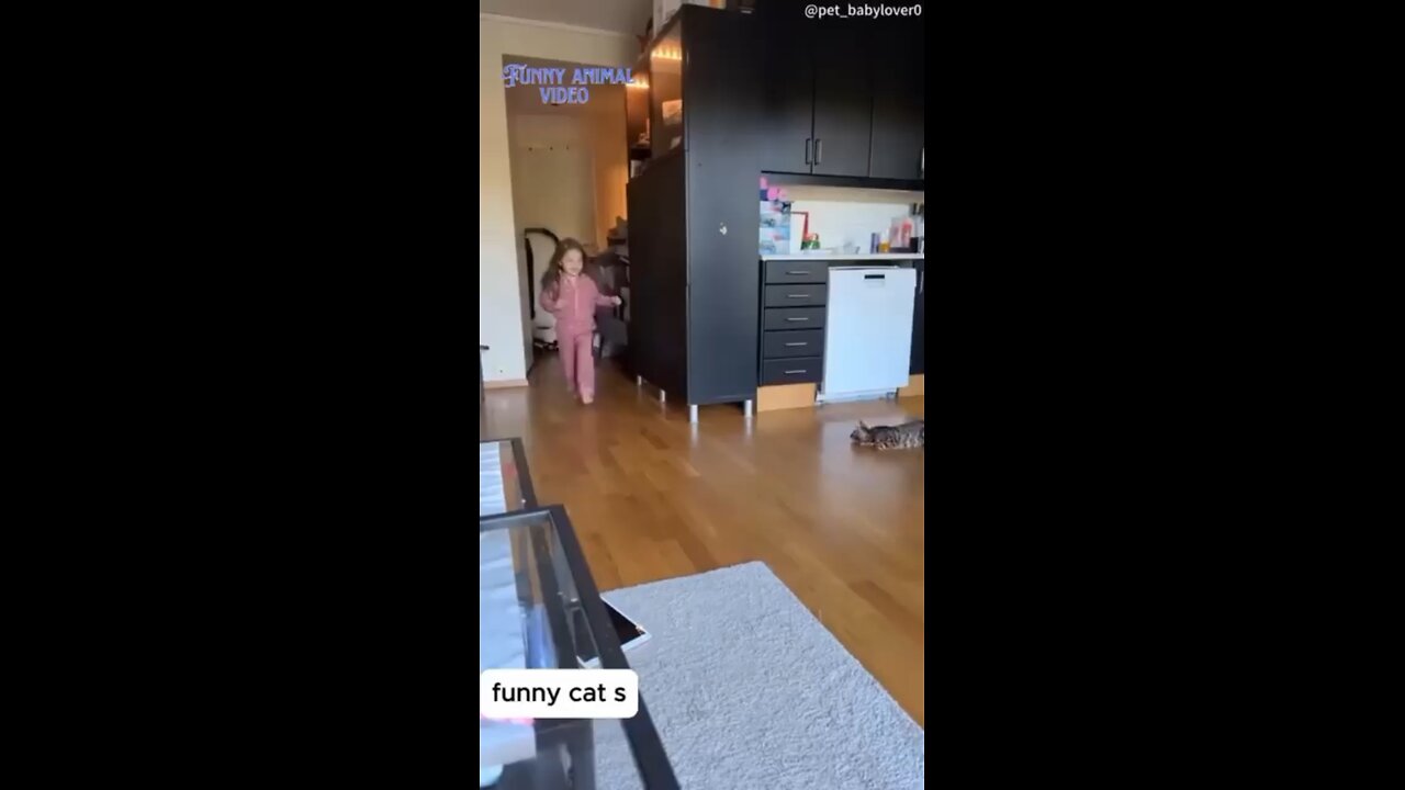 funny pet Ep.04