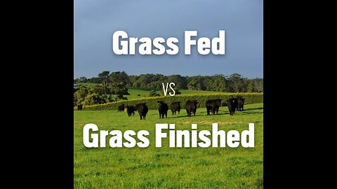 Cows Aren't Made to Eat Grains! Watch This & You'll Be Shocked!