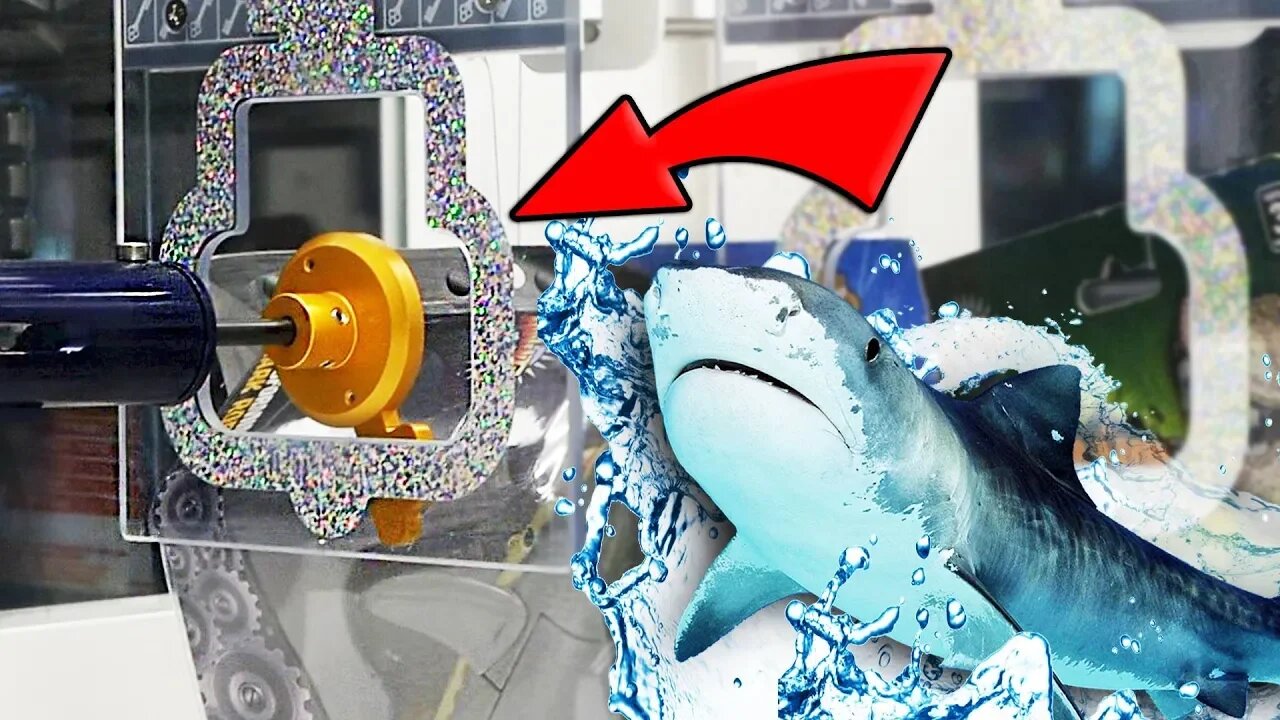 WON A SHARK FROM KEYMASTER?!?