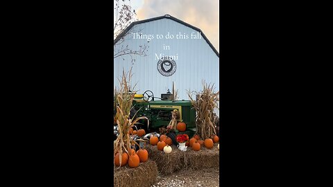 Fall activities in Miami👻🎃 #Miami #fall #fallaesthetic #pumpkinseason #pumpkinpatch