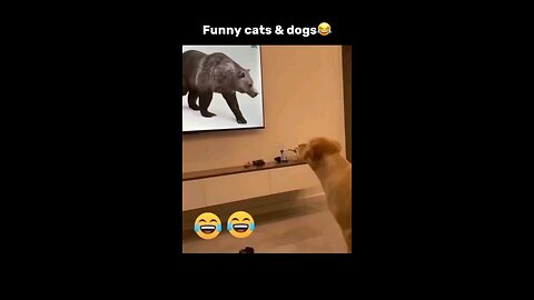 "Cat want fridge door open" 😂😂😹.... watch till the end 🤣