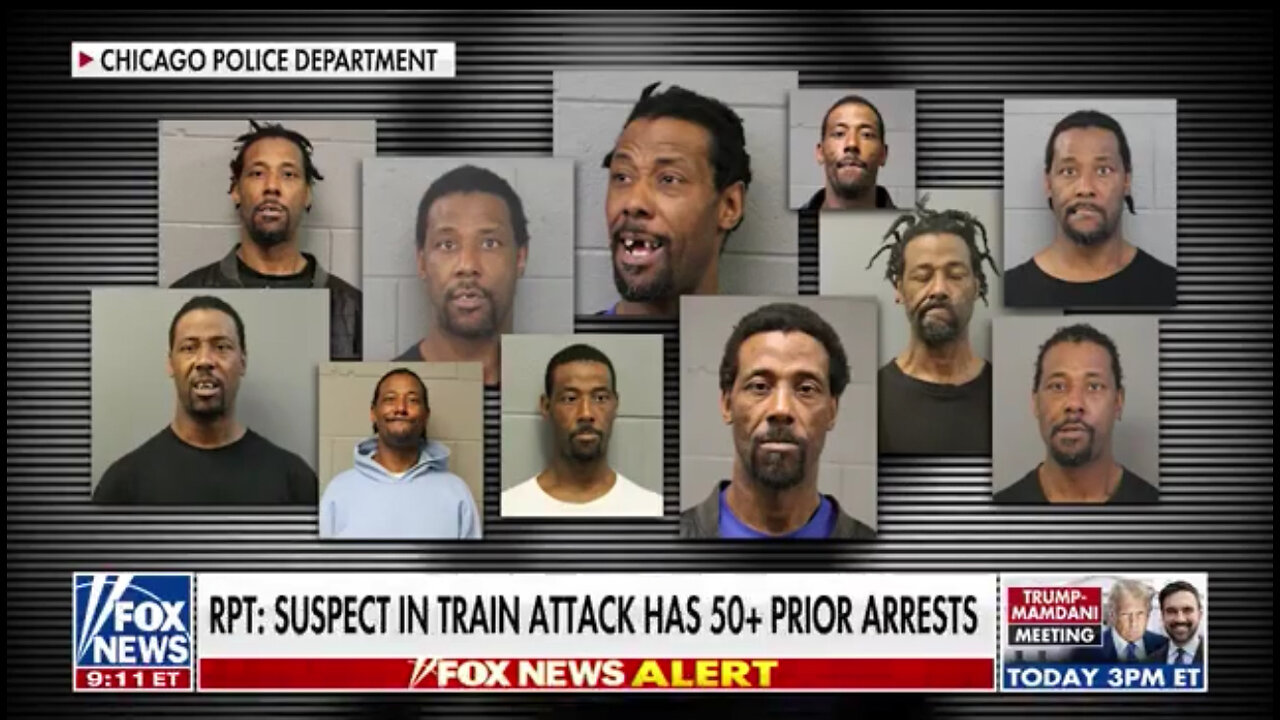 REVEALED: Chicago Man who Set Woman Ablaze Had 72 Prior Arrests, Not 49 as Previously Reported