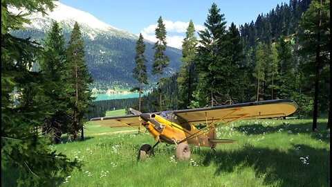 FS2024 - Living Free like a Bird