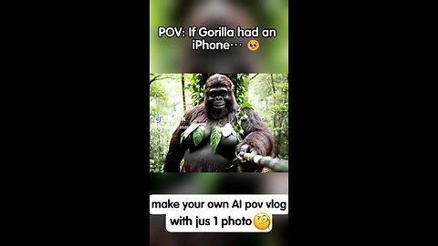 Gorilla's