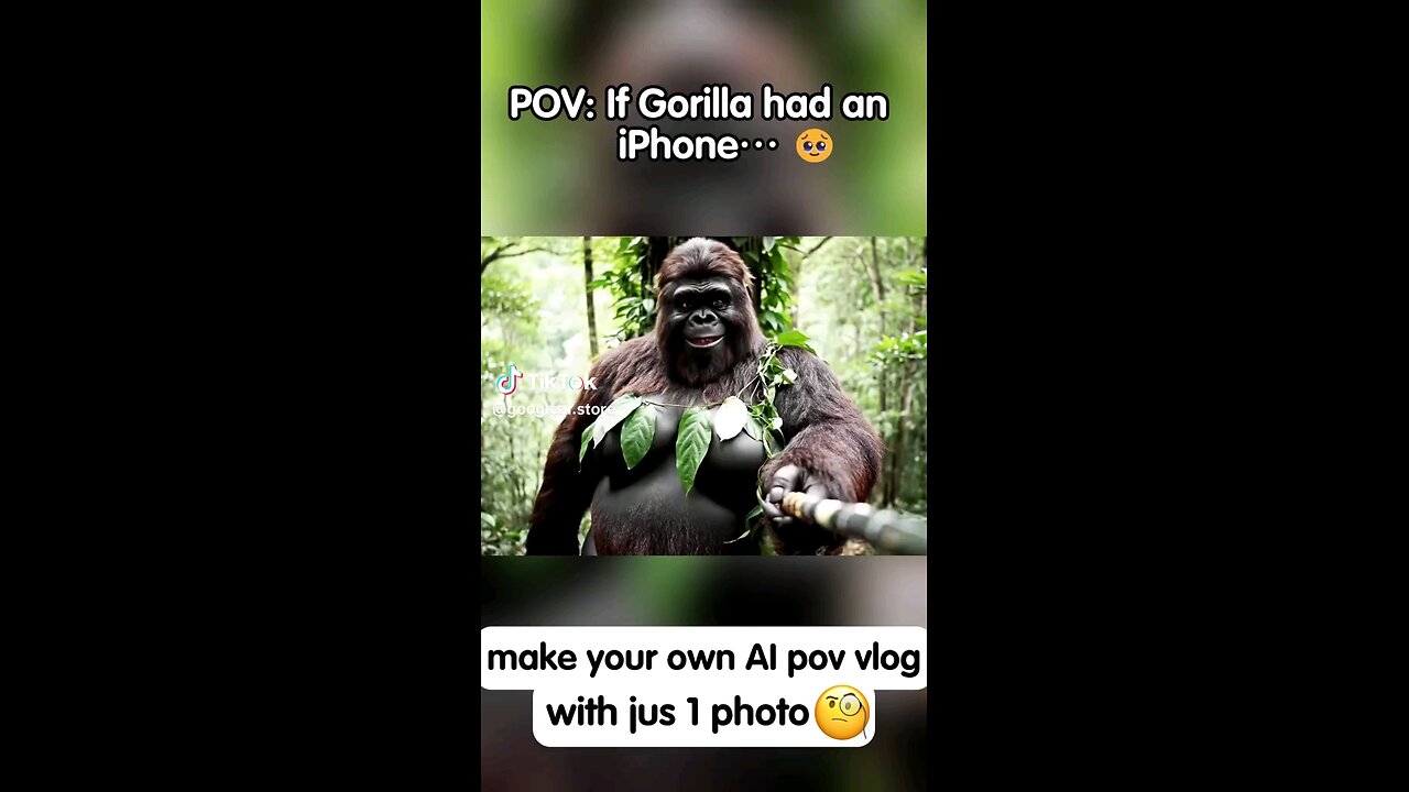Gorilla's