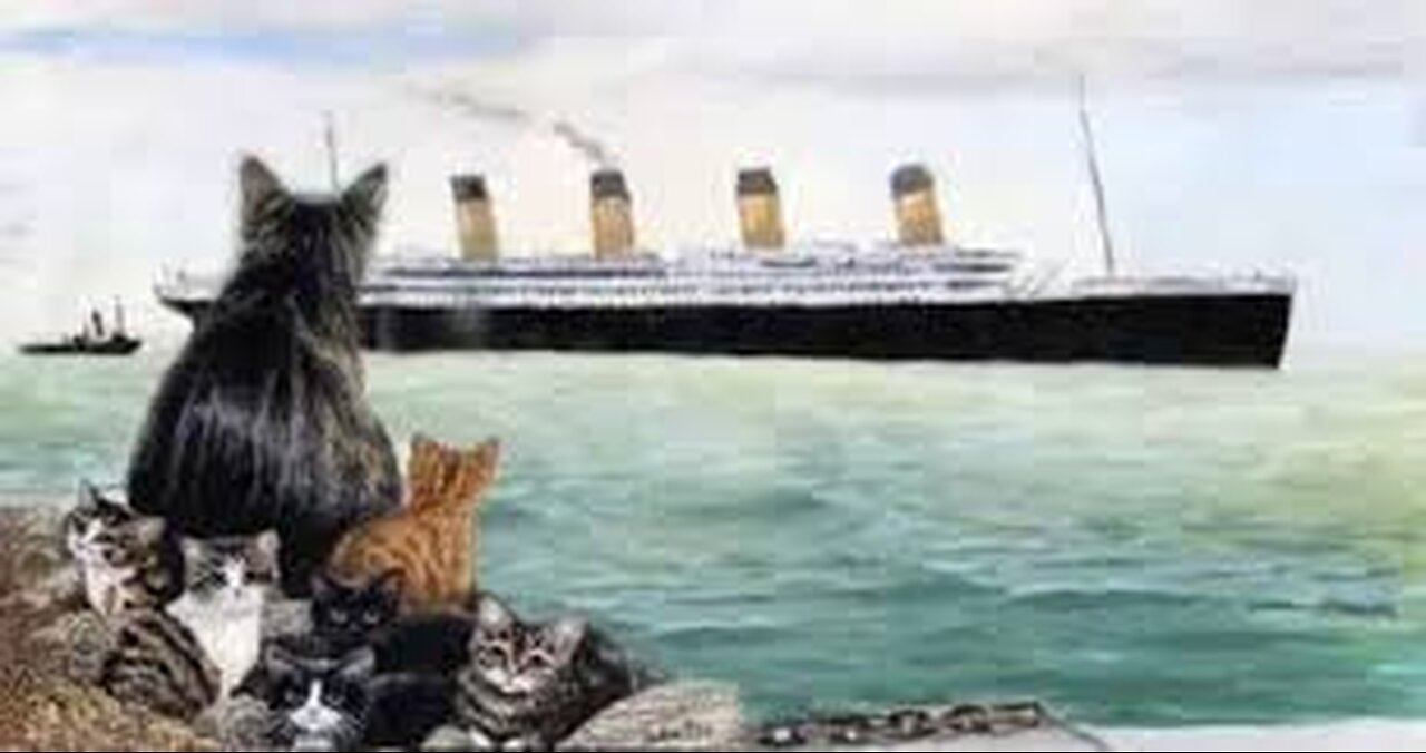 The Titanic's Unsung Hero ! - The Amazing Story of Jenny the Cat