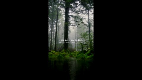 Listen this tilawat atleast once✨🎧