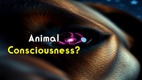 Animal Dreams: The Rosetta Stone to Consciousness?