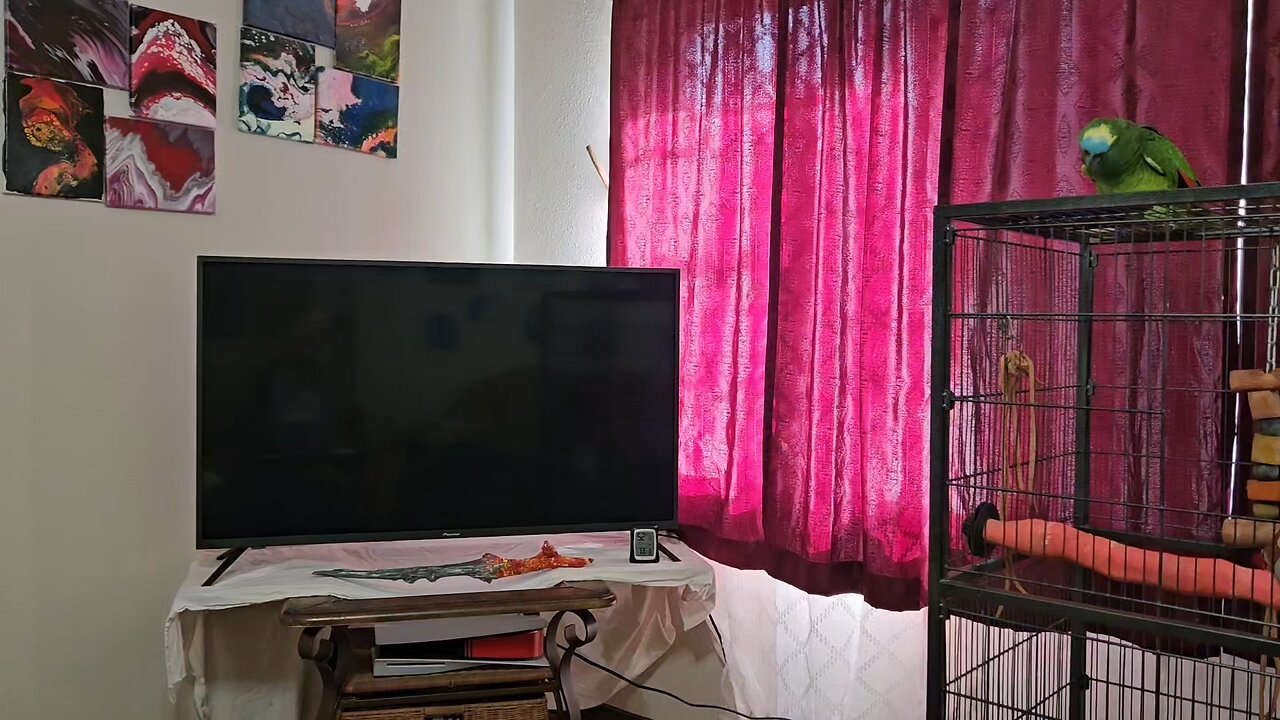 Birdbrain spitting facts.