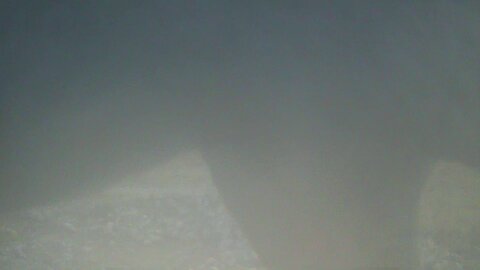 Volume up! Moose (I think) breathing on trail cam