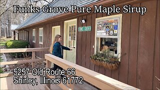 Funks Grove Pure Maple Sirup