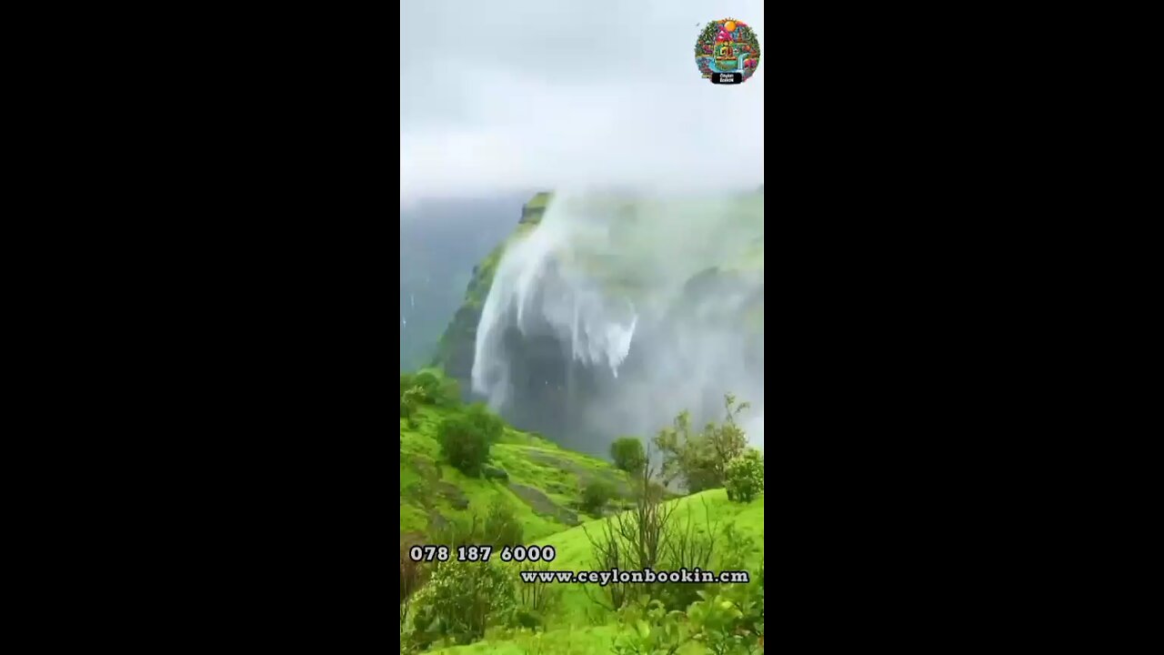 Ceylon Bookin job opportunities