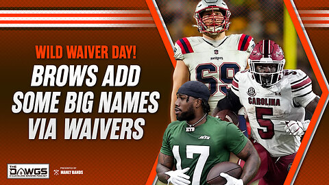 The Browns Added Some VERY Interesting Players from Waivers