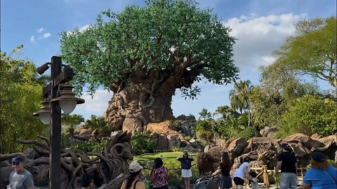A Day at Disney World Animal Kingdom