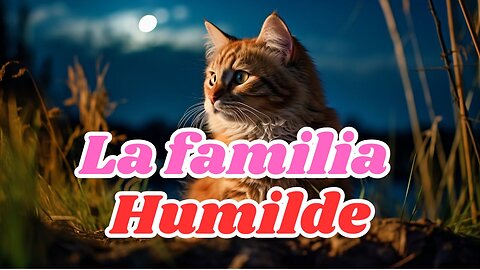 "Una tierna tarde con la familia gatuna 🐾 | Baño, comida y mucho amor"