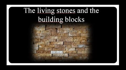 The Living Stones and The Building Blocks