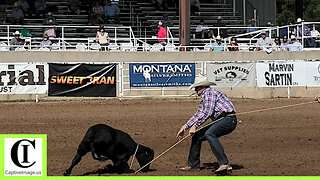 Tie-down Roping Round 2 Part 1🐂 2024 Spicer Gripp Memorial Roping