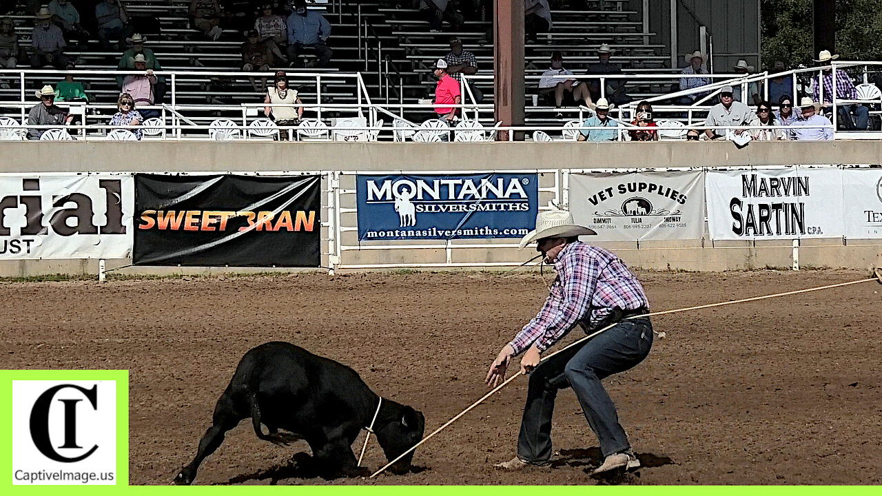 Tie-down Roping Round 2 Part 1🐂 2024 Spicer Gripp Memorial Roping
