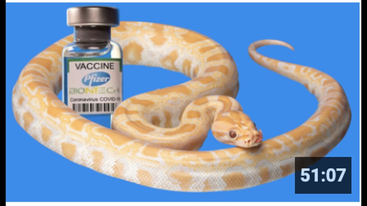"Snake Venom Substrate Present in COVID-19 Vaccines"