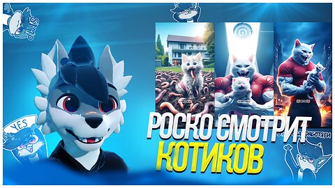 🐺 Роско смотрит видосы с котиками | ЧАСТЬ 2