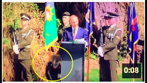 "Soldier Unexpectedly Collapses During Collins Commemorations"