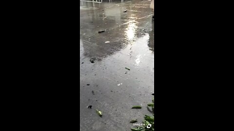 راولپنڈی کرکٹ اسٹیڈیم کے باہر ایک ڈرون طیارہ گر کر تباہی ہو گیا