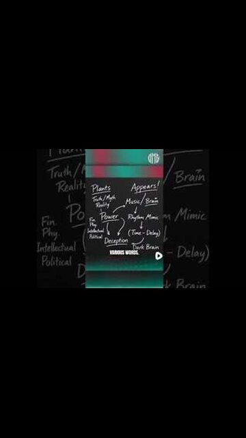 “None of these people had any knowledge about any illegal activity?” O'Keefe asks.