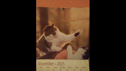 Wednesday Wellness Check