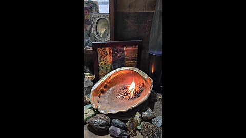 12/17/25. 🤬Bad words🤬 Coming in a little hot, LMFAO