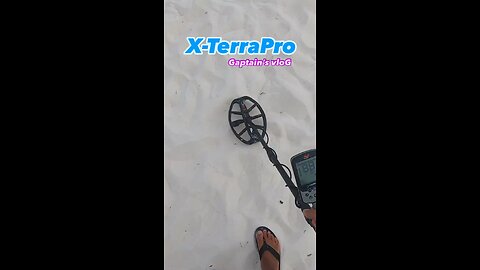 Minelab X-TerraPro