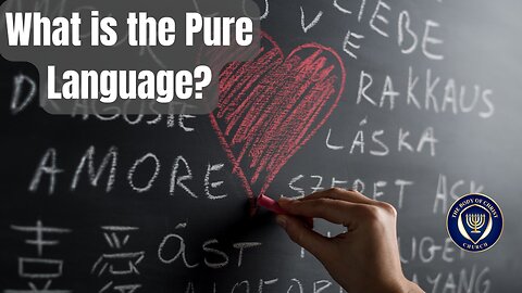 The Pure Language