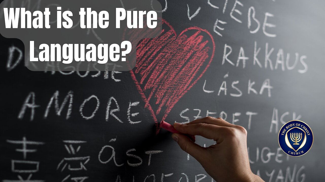 The Pure Language
