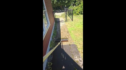 roof clean
