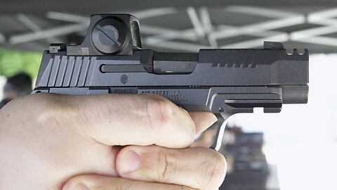 Sig Sauer LUXE Wants to Make .380 Mainstream