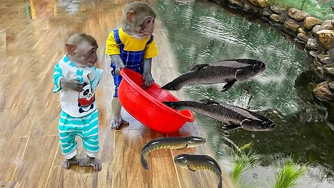 Very touching moments of YiYi and YinYin loving poor animals