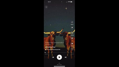 Texas Girls song
