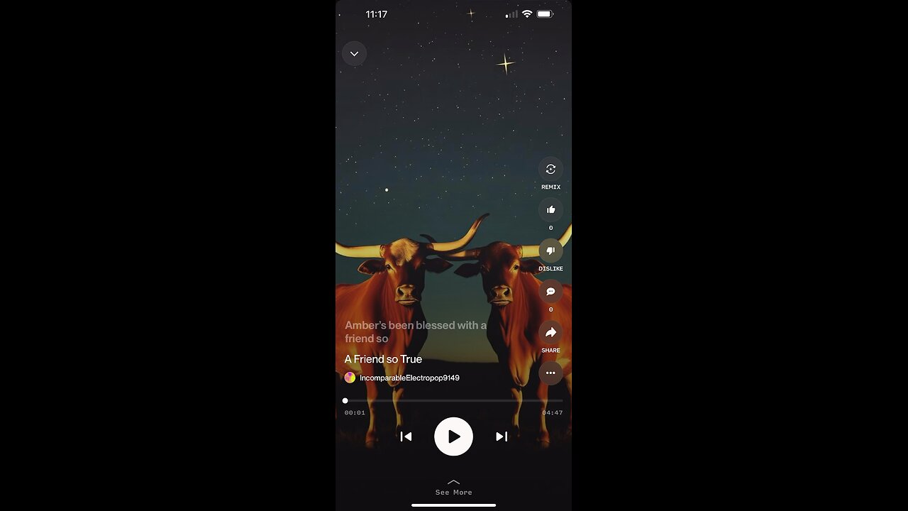 Texas Girls song