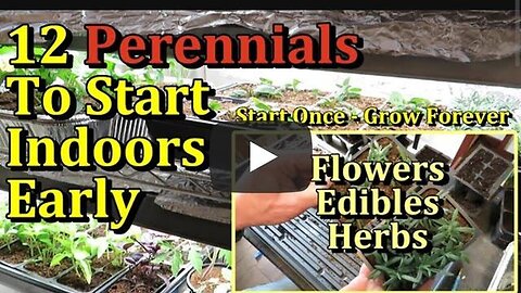 "12 Essential Perennial Flowers, Herbs & Edible Plants to Start Indoors: Seed Starting 101"
