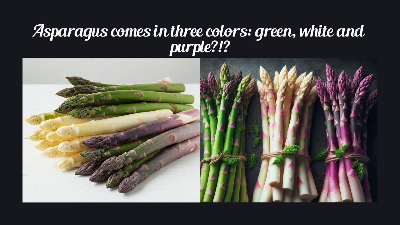 Fun Fact for Apr 7th 2025 Pt 1