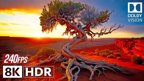 Real Dolby Vision | Exploring Earth's Magnificent Beauty in 8K HDR 240fps