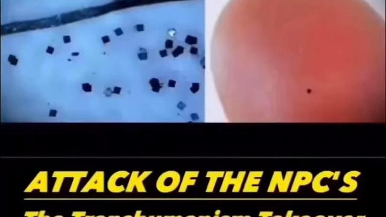 On Top of all the Sterilants and Neurotoxins in our Air, Food, and Water are tiny Microchips