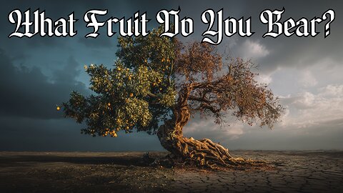 You Will Know Them By Their Fruit | Catholic Daily Readings | June 25, 2025