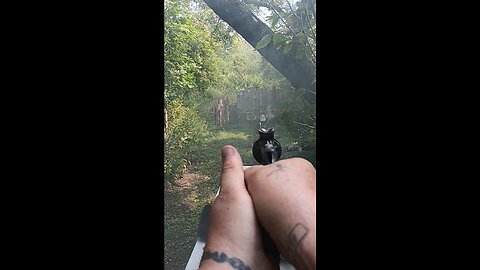 Shooting Some 45 Colts