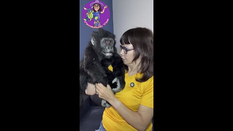 Gorilla Confusion!