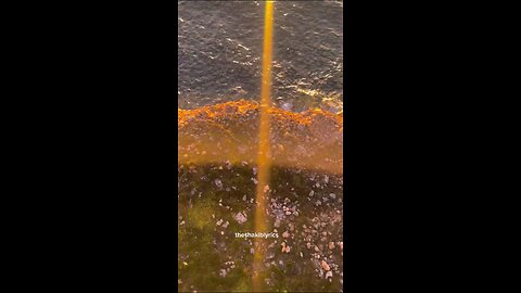 Those Eyes - New West