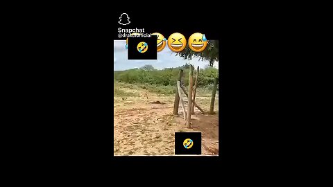 Viral