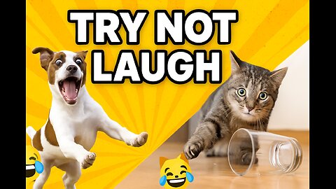 Funny Animal Fails 2022 | Dogs & Cats Being Absolute Goofballs