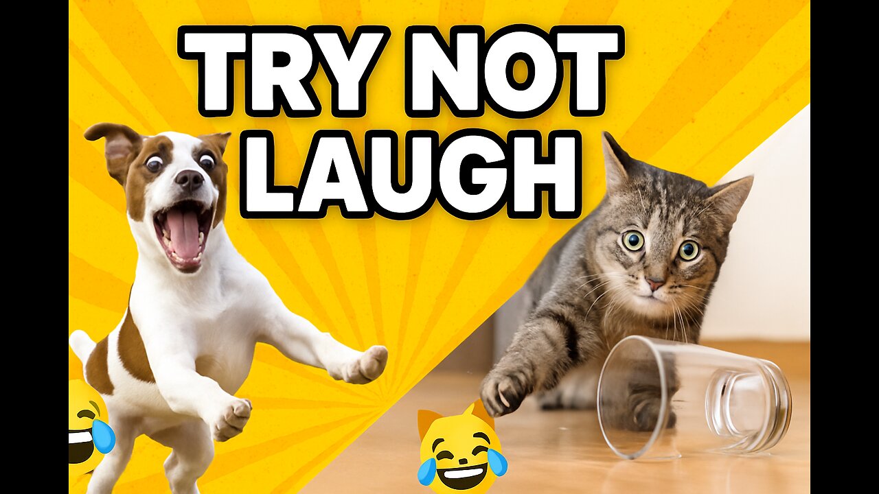 Funny Animal Fails 2022 | Dogs & Cats Being Absolute Goofballs