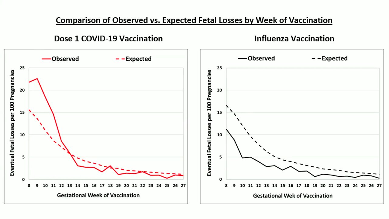 Observed-to-Expected Fetal Losses Following mRNA COVID-19 Vaccination in Early Pregnancy